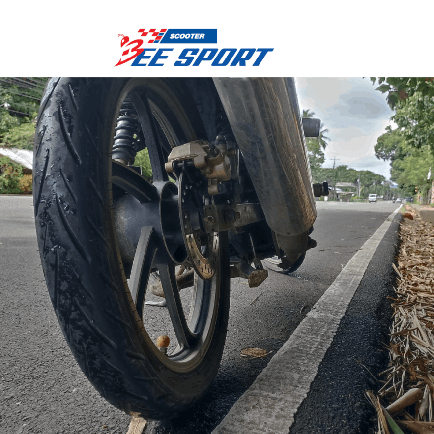 BeeSportAll